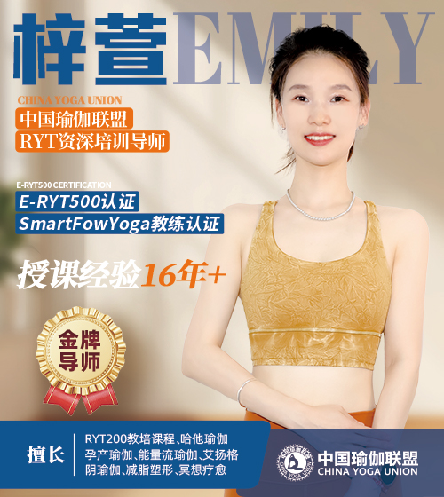 中国瑜伽联盟RYT200高级培